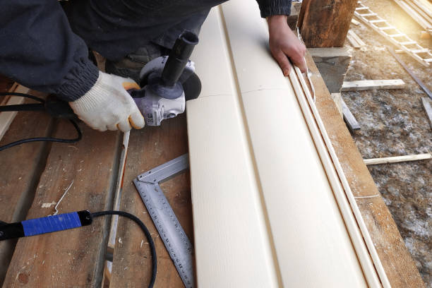 Best Historical Building Siding Restoration  in Hull, IA