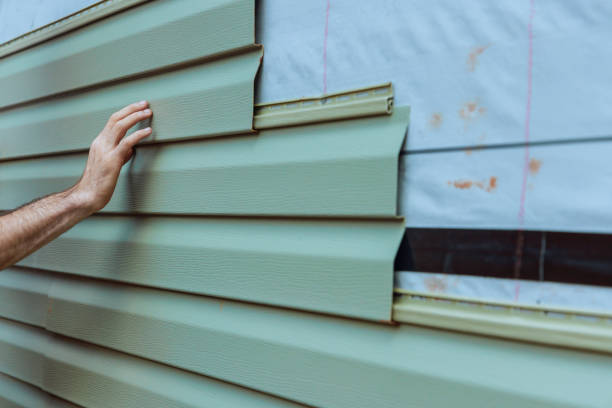 Best Brick Veneer Siding  in Hull, IA